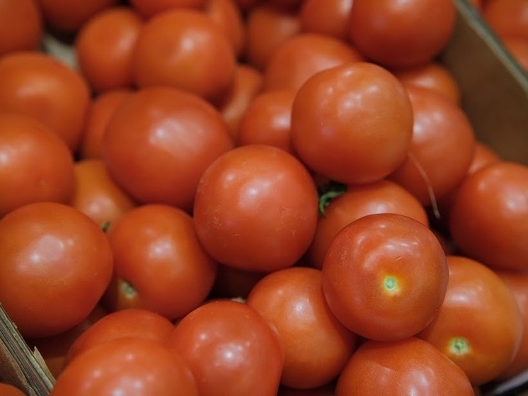 Агроном объяснил волгоградским дачникам, почему на помидорах появляются пятна