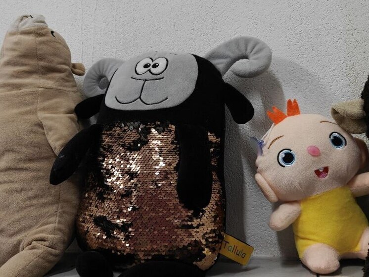 Повышенная тревожность, резкие перепады настроения, странные привычки и постоянные жалобы на самочувствие — все это родители часто списывают на возраст, усталость или «характер». Но иногда за такими проявлениями скрывается невроз. Это устойчивое состояние, которое затрагивает эмоции и физическое здоровье ребенка. О признаках детского невроза и причинах его появления «МК в Мурманске» рассказала психолог Лариса Верчинова.