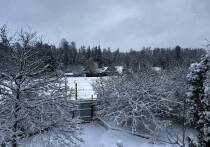 В новогодние праздники манипуляторы распускают крылья, так как в череде застолий поводов впиться в наши слабые места у них становится гораздо больше