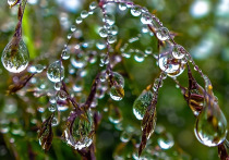 Мы ежедневно чему-то удивляемся