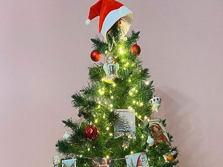 Липецкие гимназисты делятся новогодним настроением в онлайн-акции «Моя домашняя ёлка»