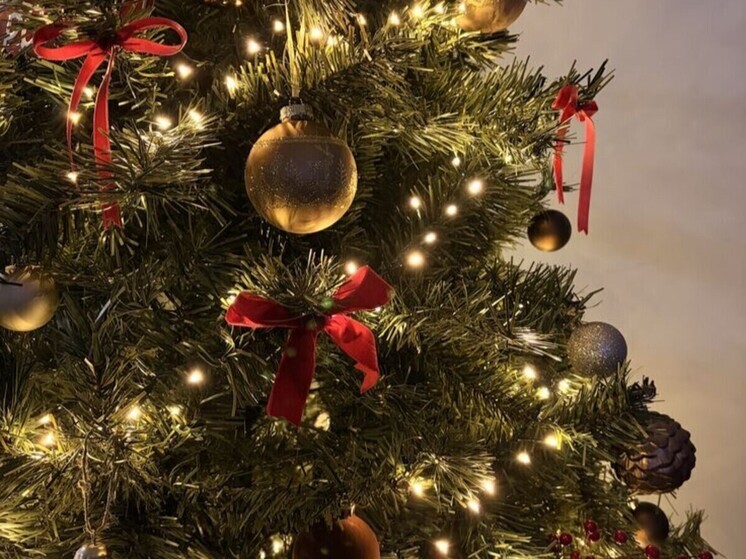 Ростовский астролог назвала удачные и опасные дни для уборки ёлки в январе 2026 года