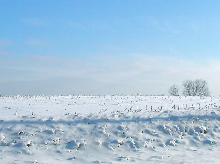 Завтра приметы расскажут о погоде в Калмыкии весной и летом