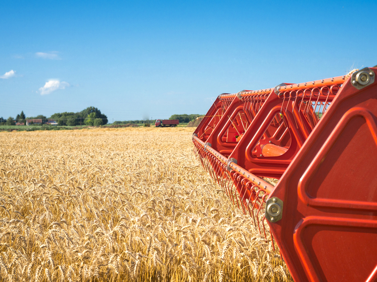 Курские аграрии приграничных территорий получат доступ к льготным кредитам под 1-3% в 2026 году