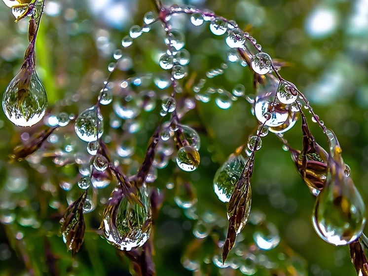 Мы ежедневно чему-то удивляемся