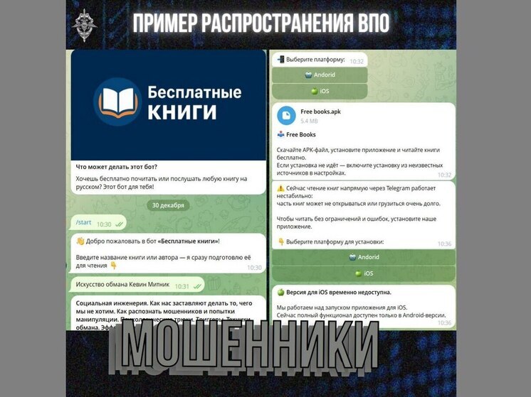 «Бесплатные книги» используют мошенники для обмана воронежцев