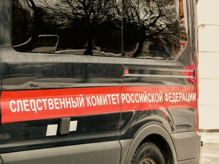 Глава СК потребовал доклад после убийства полицейского в Тверской области