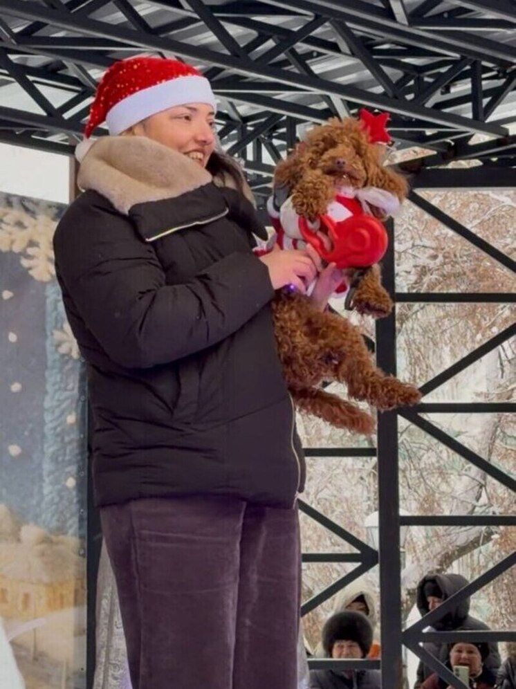 Парад хвостатых модников: в Тамбовском горсаду прошло праздничное дефиле домашних питомцев