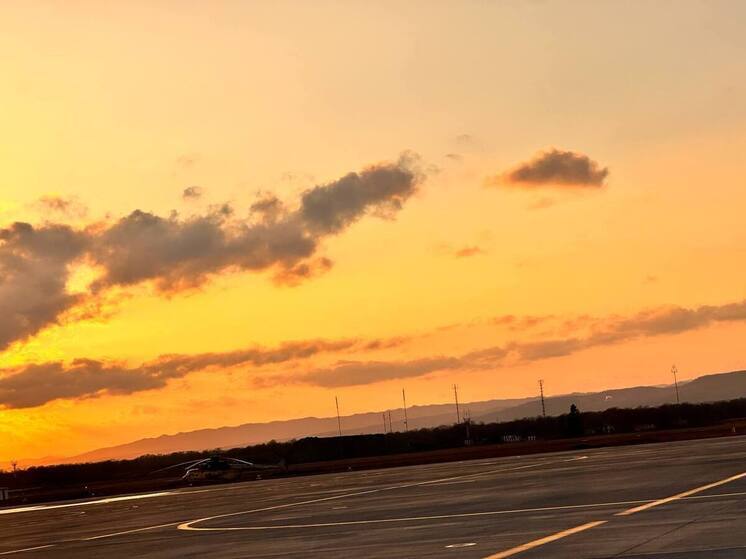 Сахалинка ищет свидетелей драки пассажиров новогоднего рейса из Новосибирска