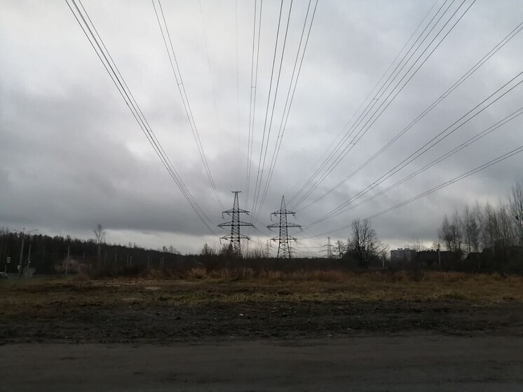 Проблемы с электричеством затронули несколько районов Ленобласти