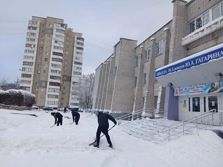 Тамбовские школьники создали «Снежный десант» и расчистили дворы