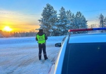 В Курганской области с 31 декабря 2025 года по 4 января 2026 года было пресечено автоинспекторами более 800 различных нарушений правил дорожного движения