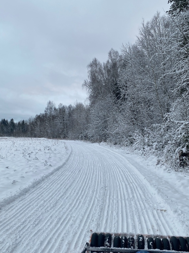 В Ярославском районе сельские лыжники протестуют против конников