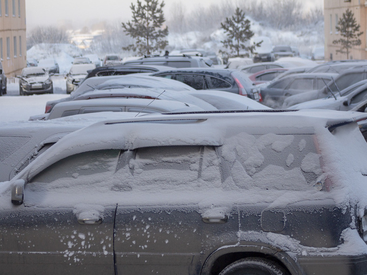 Новосибирск предупреждают о надвигающейся метели с ветром до 21 м/с