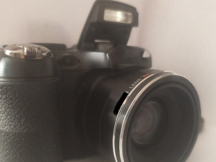 Фотовыставка «Зрелый лук» представлена в библиотеке №15 в Вологде (0+)