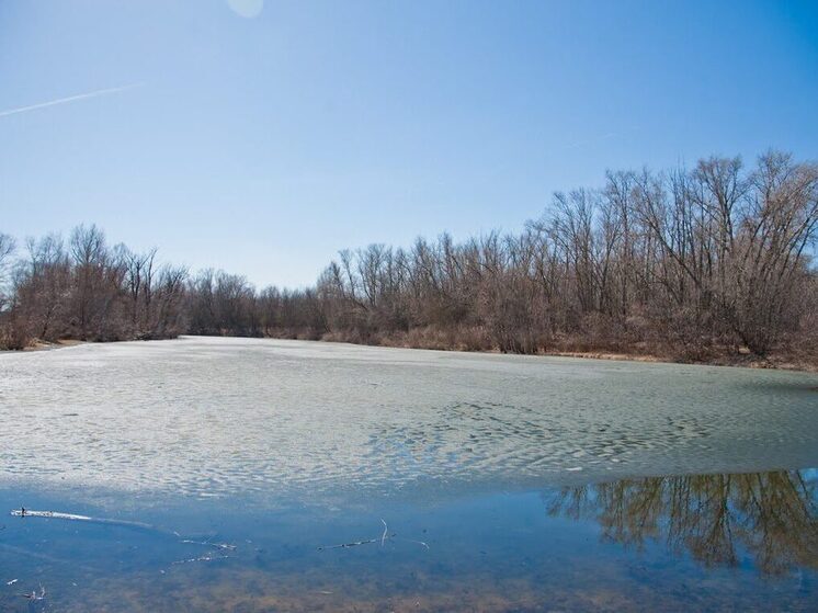 Дождь и мокрый снег пройдут в Астраханской области 6 января