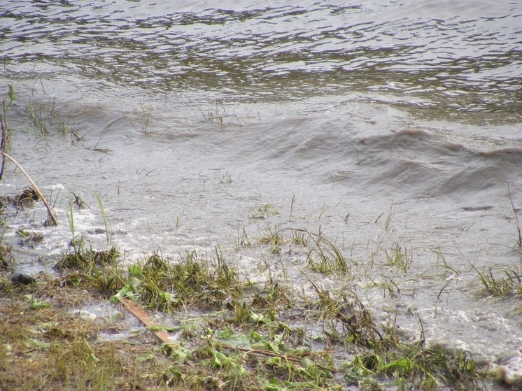 Вологодские волонтеры очистили от мусора 317 км береговой линии в 2025 году