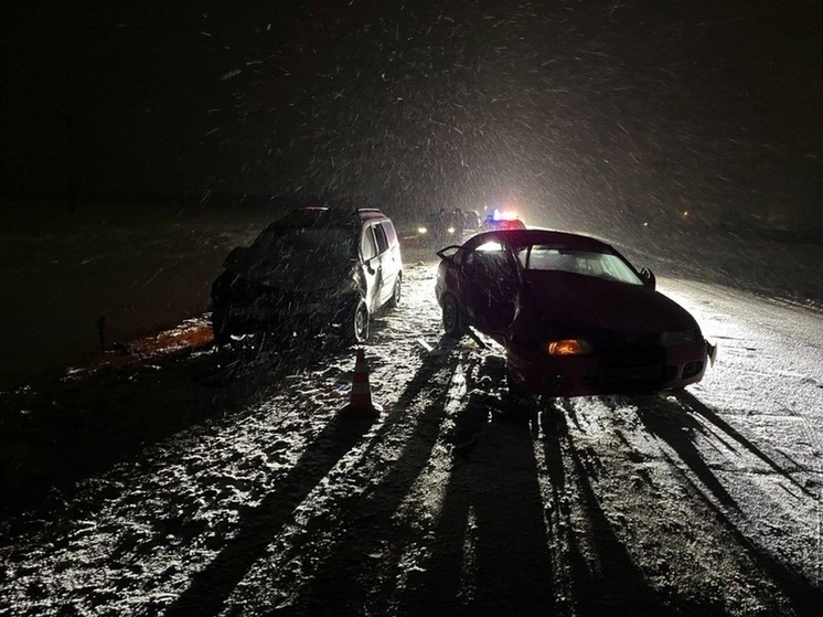 В Оренбургском районе в ДТП с Mitsubishi и Lada Largus пострадали три человека