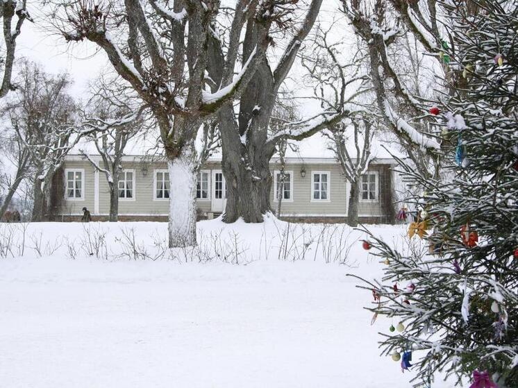 Новогодние программы в музее-заповеднике А.С. Пушкина покажут псковичам 6 и 7 января