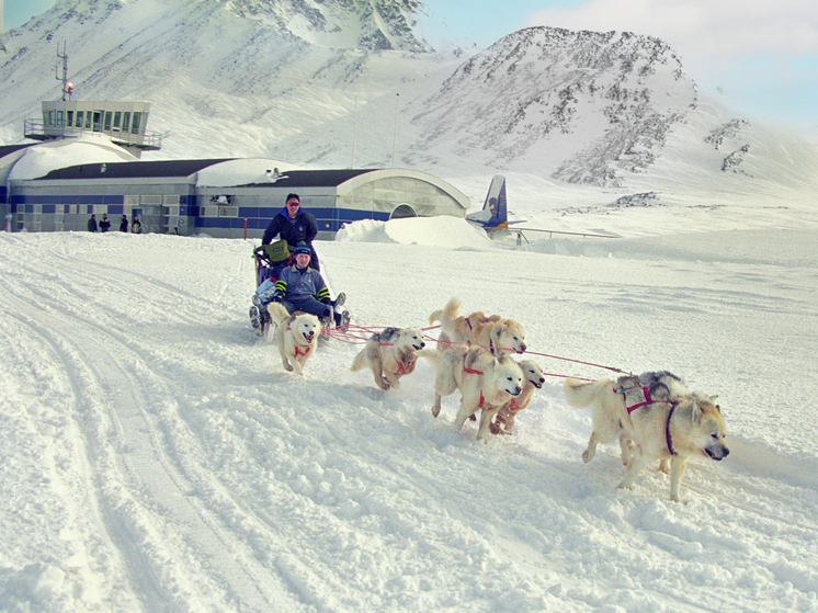 В МИД Италии решительно осудили возможные посягательства США на датскую Гренландию