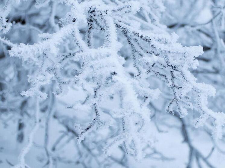 Снег и до -5°С днём: тёплая погода ожидает томичей 6 января