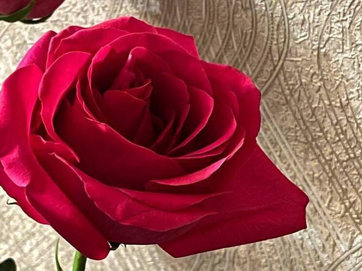 Жительница Соль-Илецка потеряла 100 тысяч рублей, поверив в доставку цветов