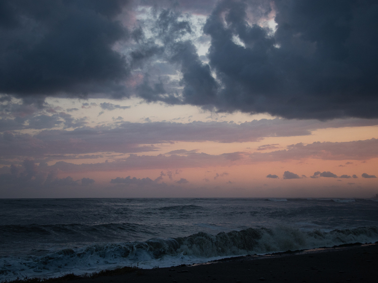 В Калининградской области очистили 18 км береговых линий