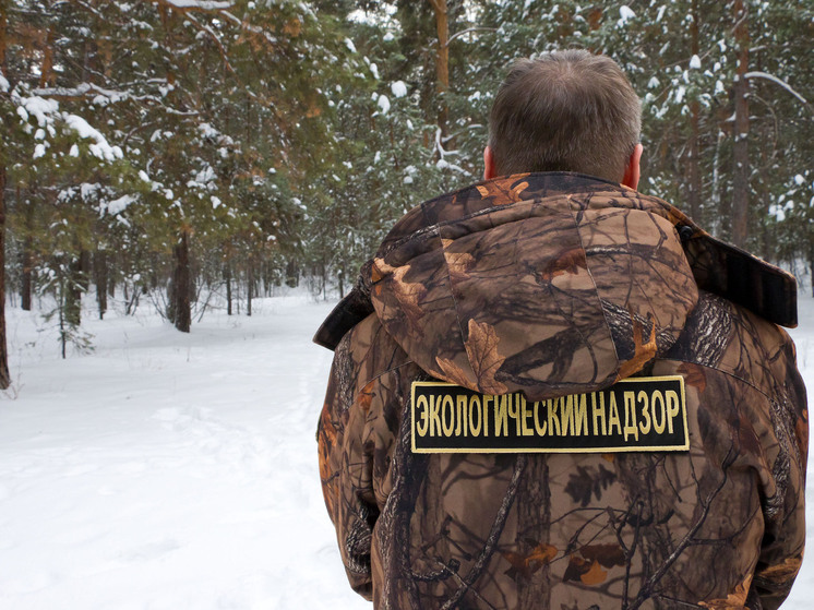 Минэкологии Южного Урала напомнило об ответственности за вред окружающей среде