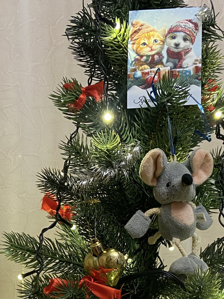 Сотрудники СК России по Запорожской области порадовали детей Токмака новогодними подарками