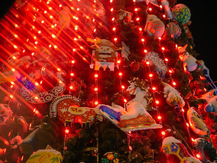 Как безопасно гулять на новогодних мероприятиях: инструкция от полиции Приморья