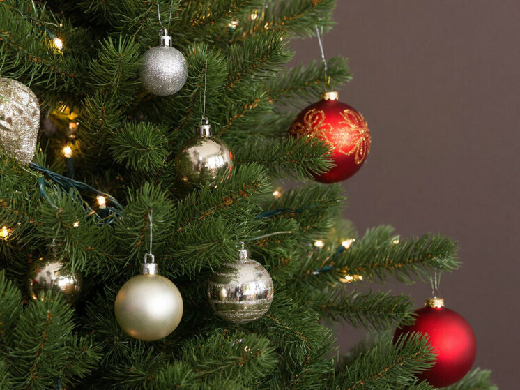 В Новосибирске начнут принимать ёлки на утилизацию