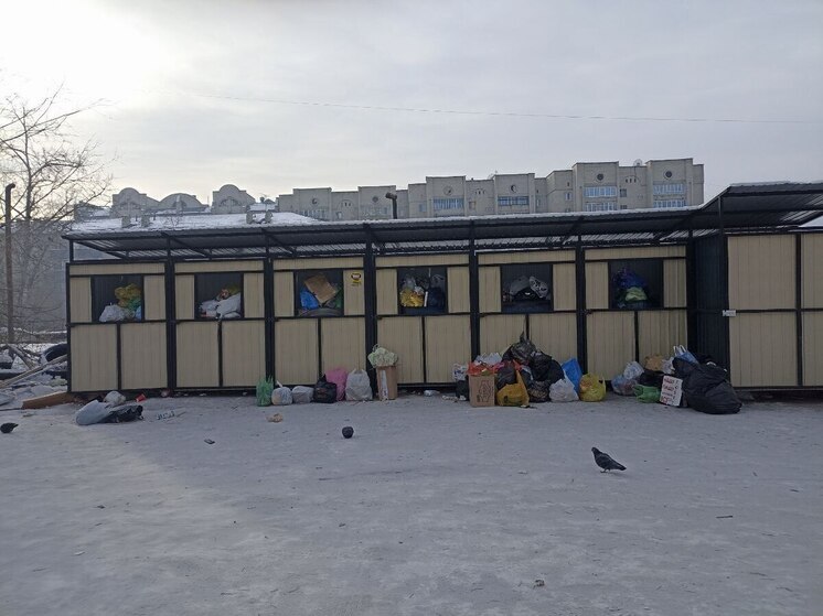 Читинцы пожаловались на работу «Олерон+» на новогодние праздники