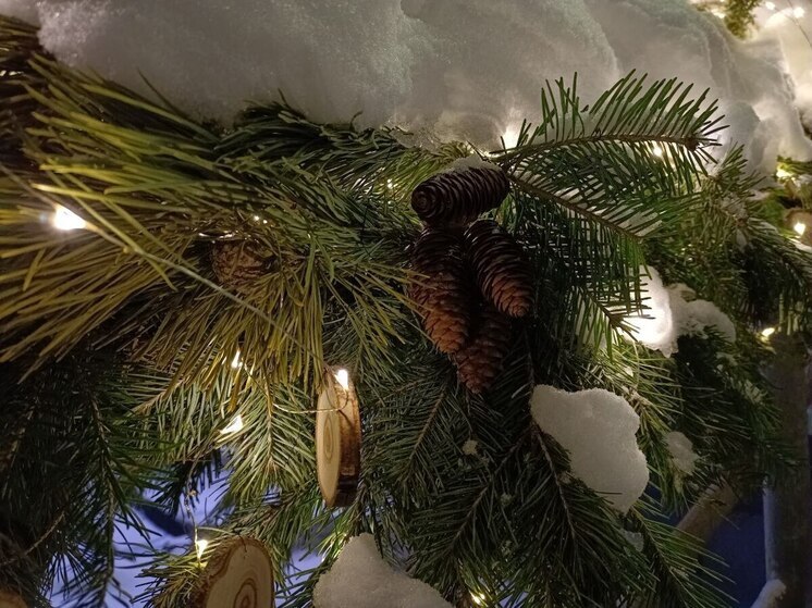 Усиление ветра и метели ожидаются в Алтайском крае в Рождественскую ночь