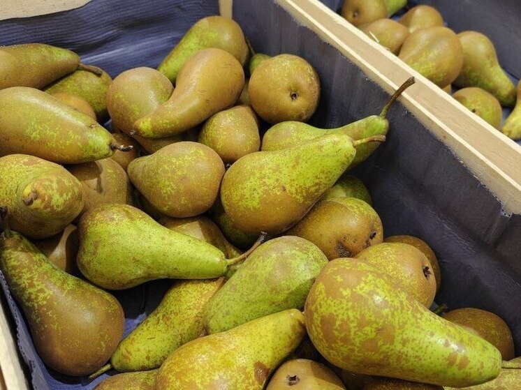 Петербуржцы больше всего любили груши в 2025 году