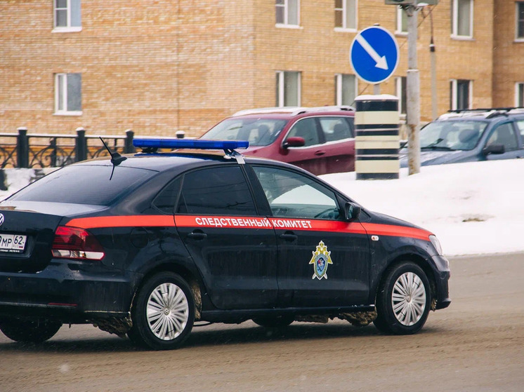 Арестована рязанка, подозреваемая в убийстве знакомого 31 декабря