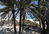 Американцы оказались среди иностранных туристов, застрявших на пустынном острове в Йемене