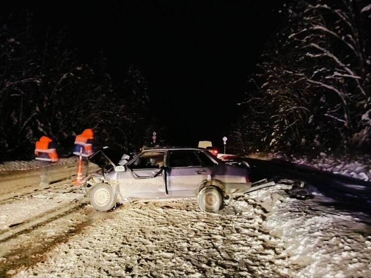 Госавтоинспекция уточнила информацию о смертельном ДТП в Окуловском округе