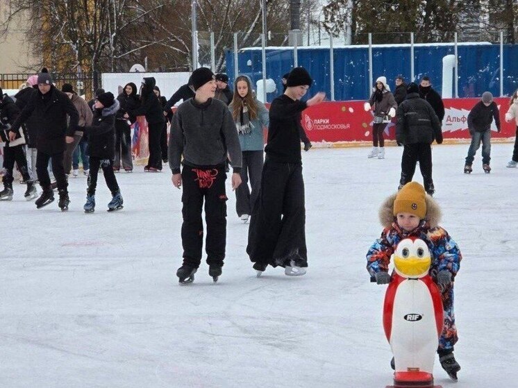 Каток в парке «Питомник» в Серпухове: актуальное расписание