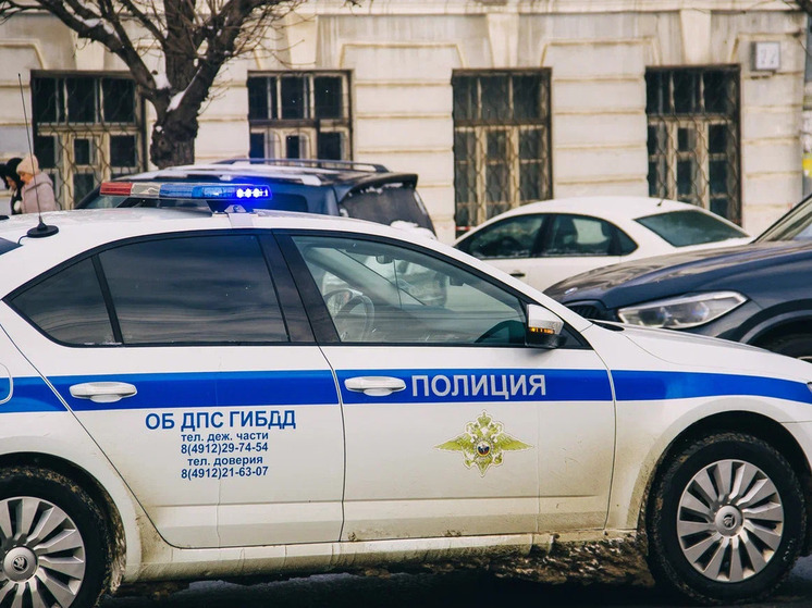 Сотрудники Госавтоинспекции призвали рязанцев быть внимательнее на дорогах