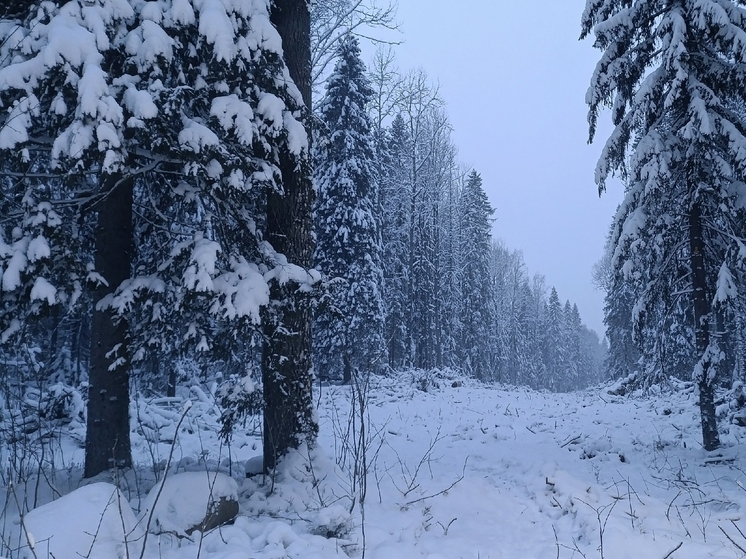 Газопровод на Кукковку будет проходить через трассу «Фонтаны»