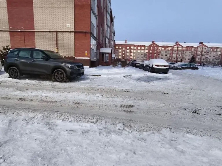 В Великом Новгороде обнаружили 44 не расчищенных от снега двора