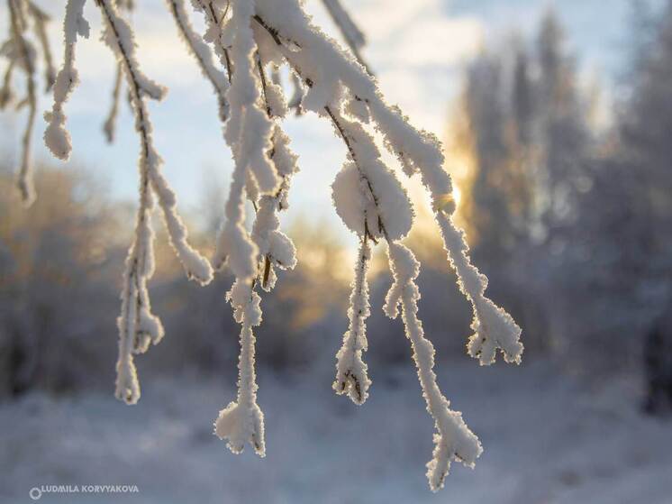 Вторник в Карелии будет морозным и без осадков с температурой до -29°C