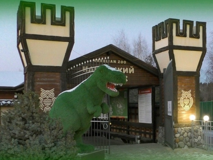Карельский зоопарк возобновил работу после аварии на электросетях