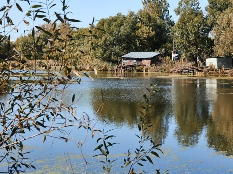 За экологические нарушения в 2025 году в Пензенской области оштрафовали более 60 лиц