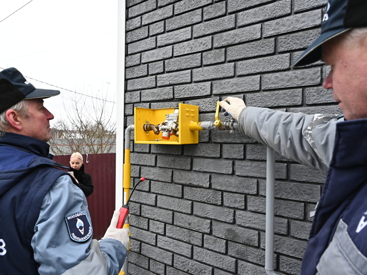 В деревне Большое Грызлово в доме Надежды Ивановны, матери погибшего участника СВО Дениса Подымкина, теперь по-настоящему тепло