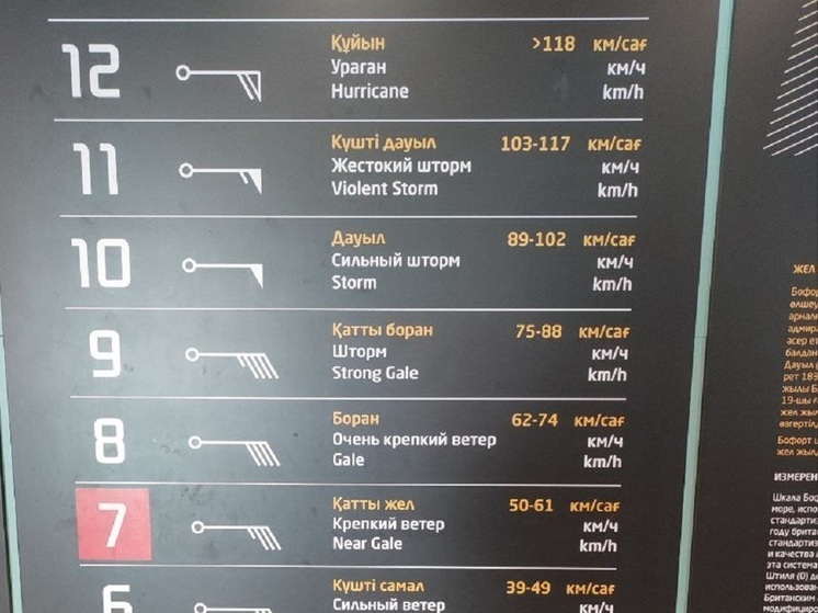 На севере Казахстана из-за непогоды из автобуса эвакуировали 46 россиян