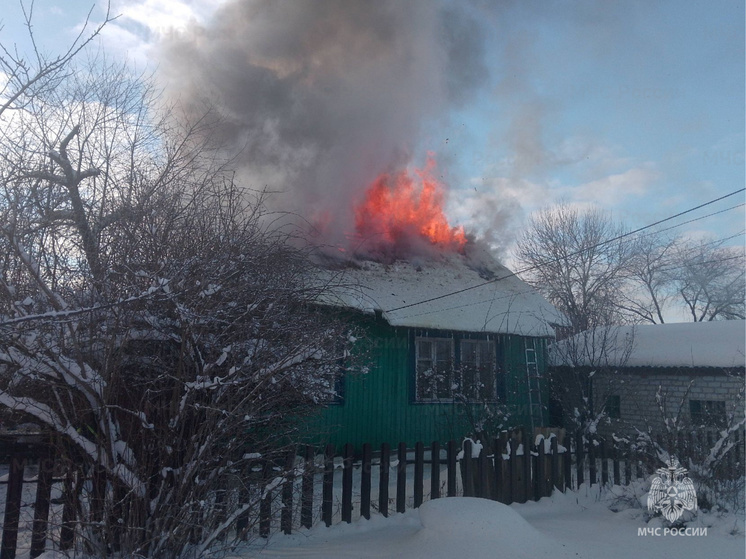 Брянские спасатели потушили пожар в поселке Климово