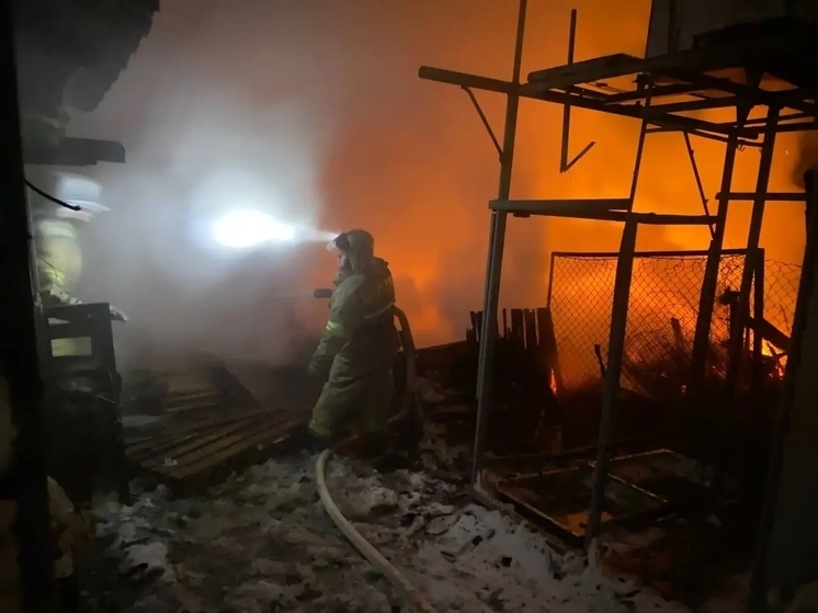 Новгородские пожарные потушили два сарая и одно нежилое здание