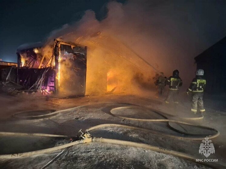 МЧС рассказало о происшествиях в Красноярском крае в новогодние праздники