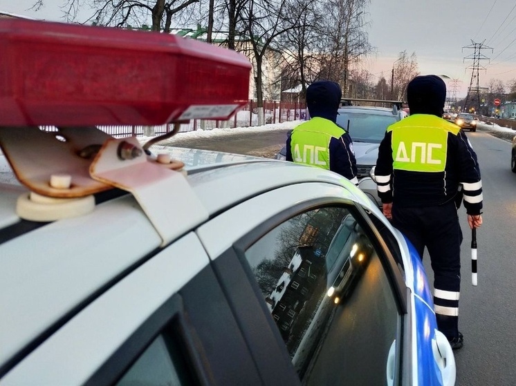 В Петрозаводске проведут рейды для проверки водителей на алкогольное опьянение
